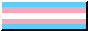 The transgender flag.